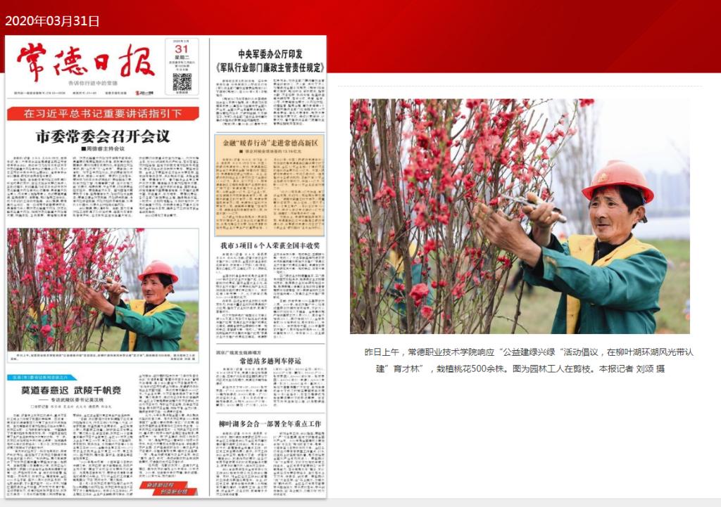 mk网响应“公益建绿兴绿“活动倡议.png
