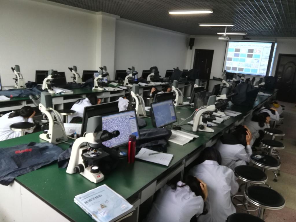 地震避险2.jpg 地震避险2.jpg
