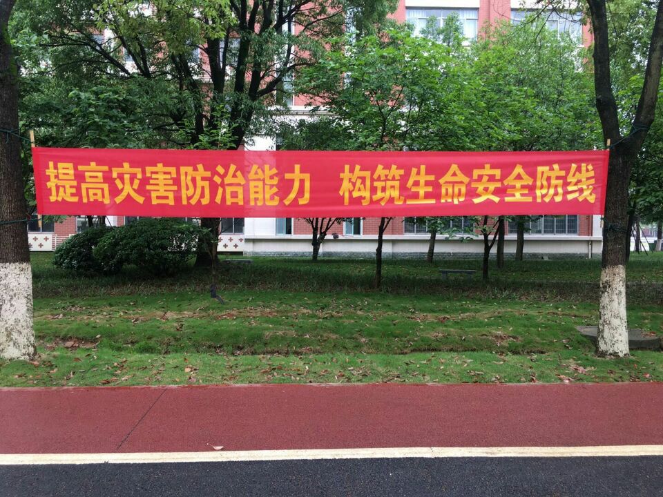 366A83F6FB99DBA77A437E296A966F2D.jpg 366A83F6FB99DBA77A437E296A966F2D.jpg