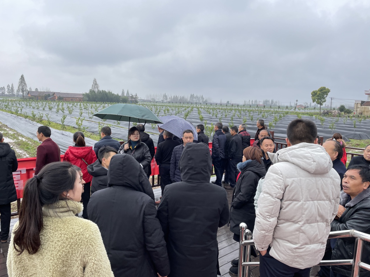 常德市柑橘产业农村党员致富带头人培训示范班2.jpg