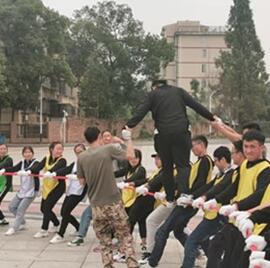 网络4.jpg 网络4.jpg