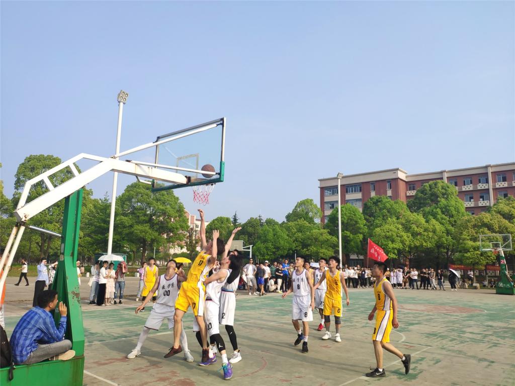 图片2.jpg 图片2.jpg